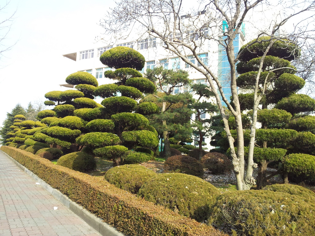 가나인력조경 이미지