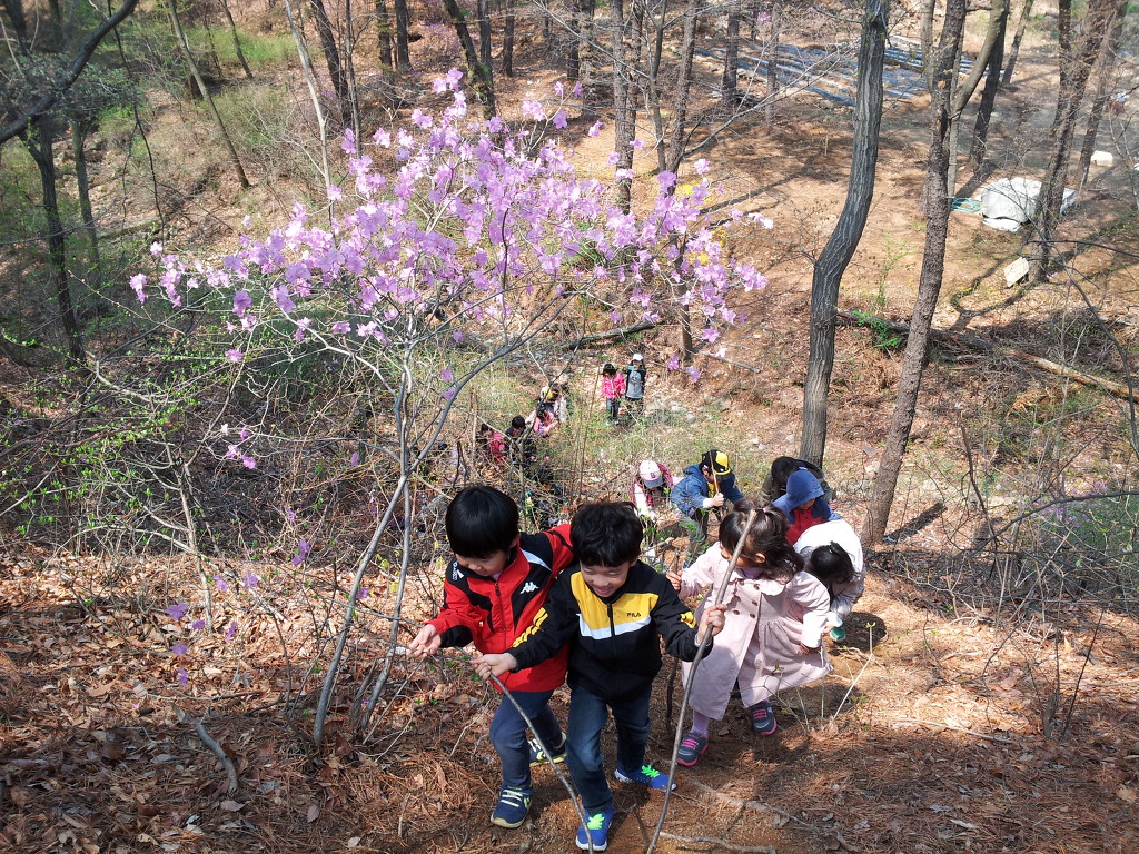 능실초등학교 이미지