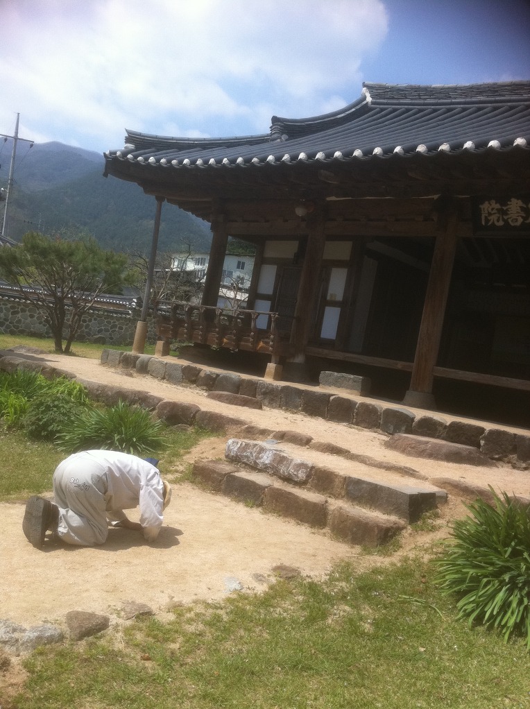 참배농장 이미지
