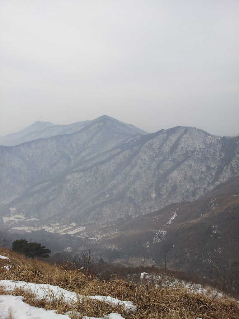 원적산 정상 이미지