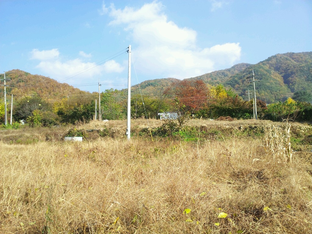 바른327 이미지