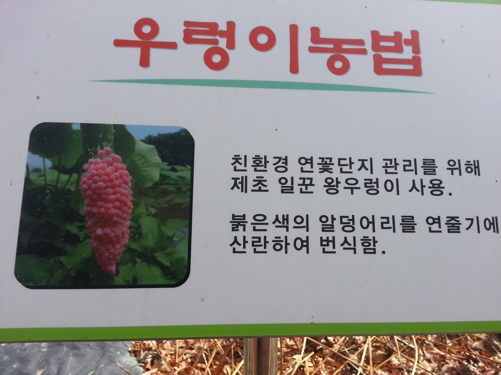 황석산 청소년 수련원 이미지