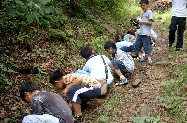 학습인주 이미지