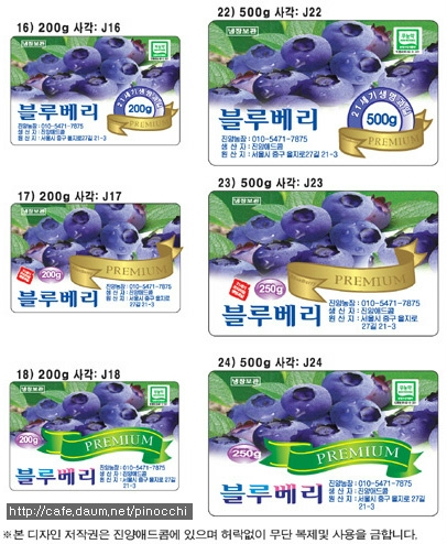 블루베리디자인 이미지