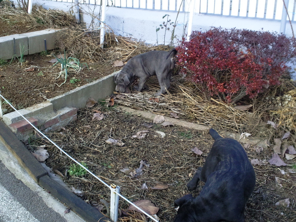 보라전기 이미지