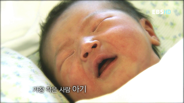 형태소 이미지