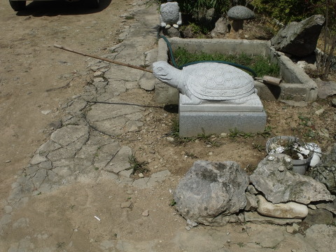 동호담배 이미지