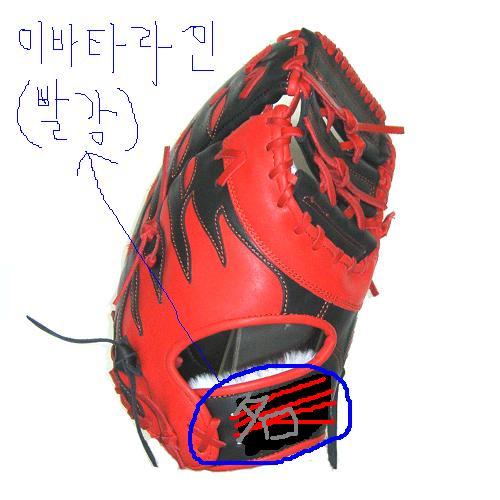 진미트 이미지
