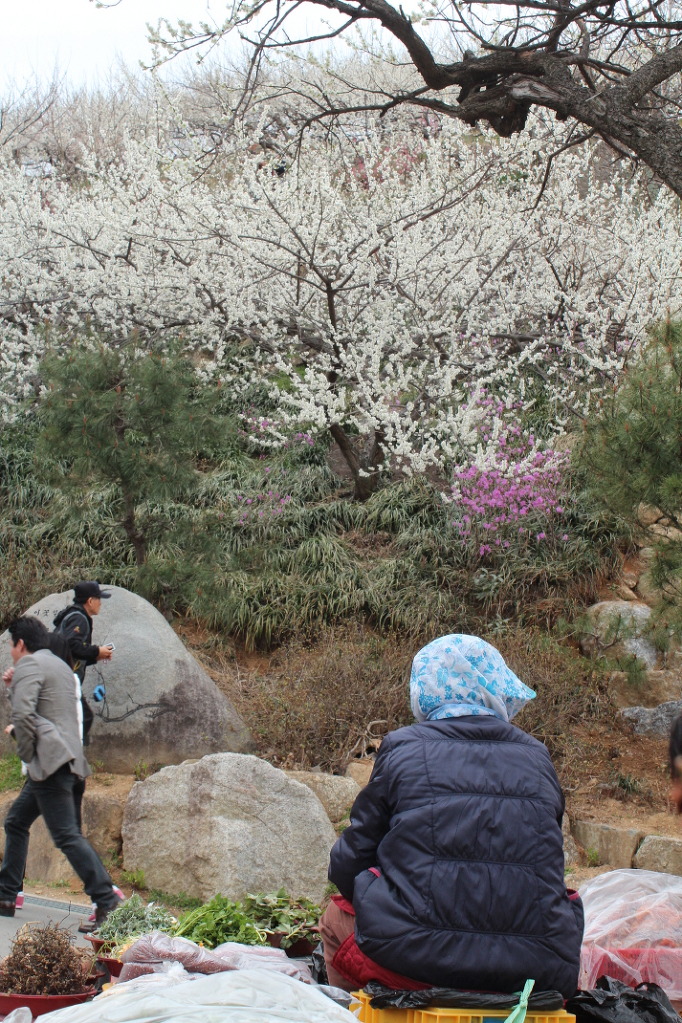 이파리 이미지