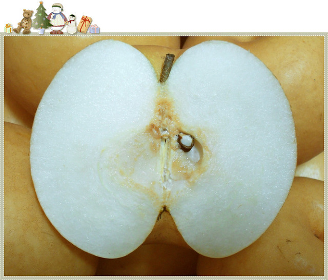 한결농산 이미지