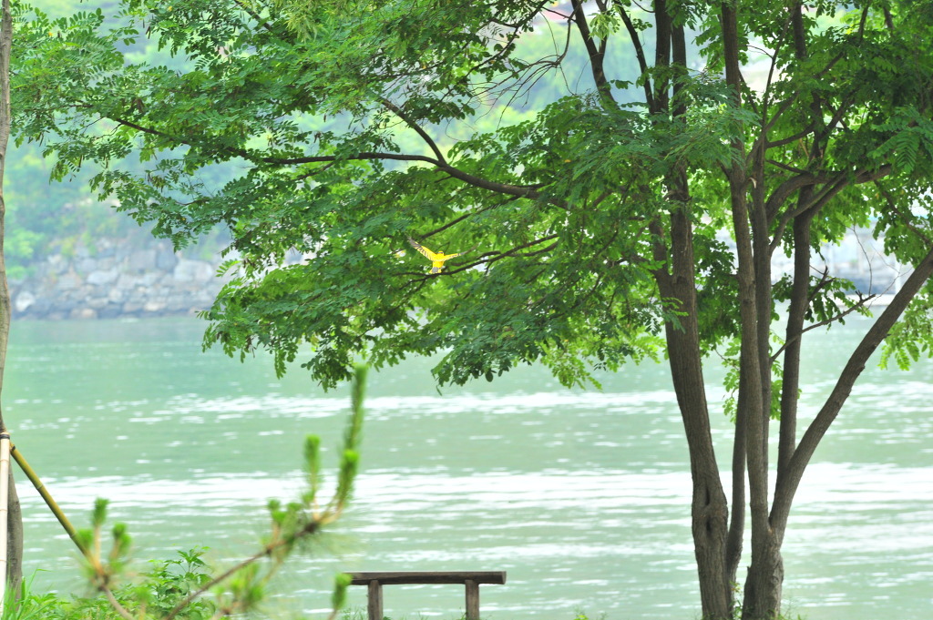 삼삼파티 이미지