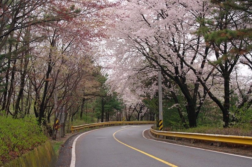 동산포장 이미지