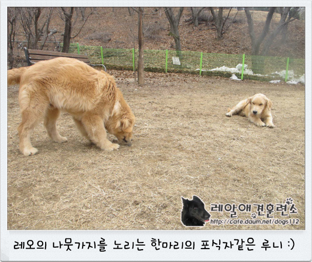 지우유리 이미지