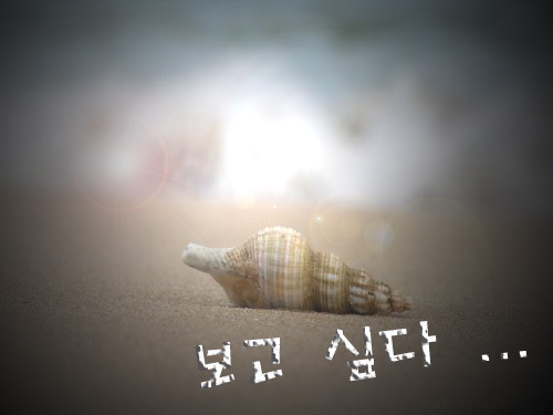 참우리 이미지