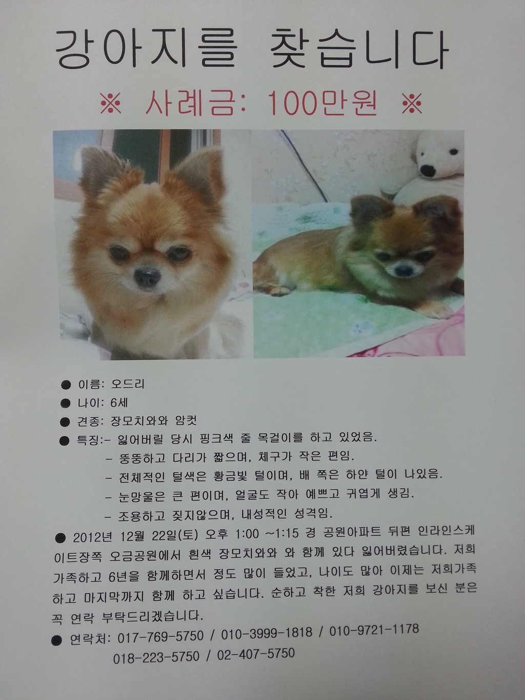 오드리 이미지