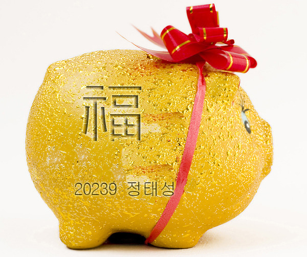 정태성 이미지
