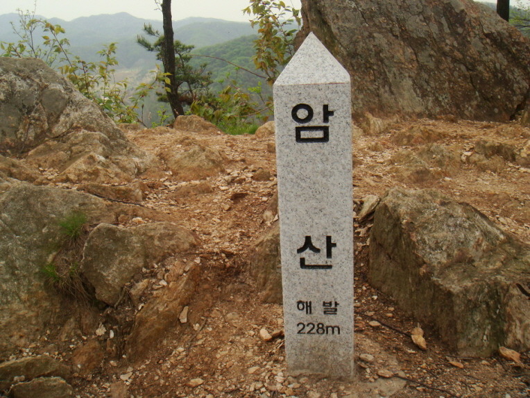 비학산4코스정상 이미지