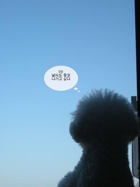 건돌이 이미지
