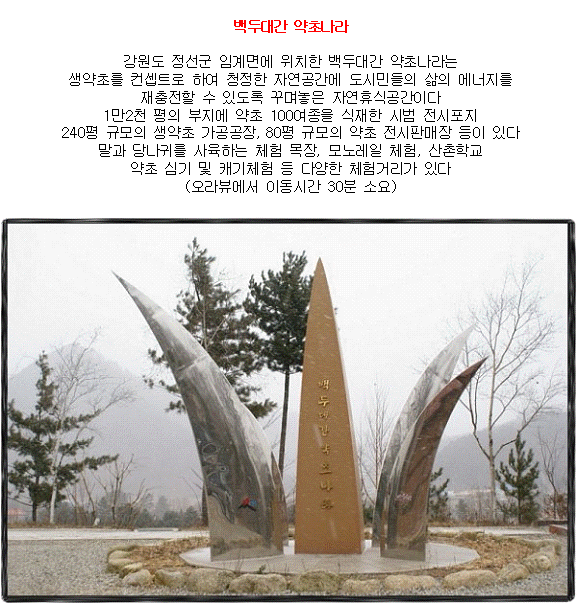 약초나라 이미지