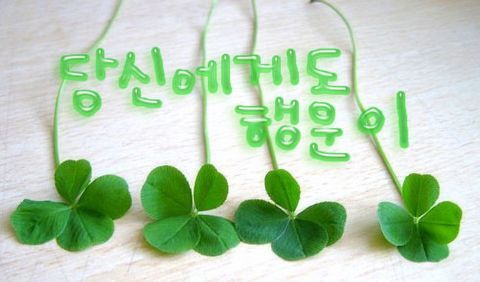 마할키타(MAHAL KITA) 이미지