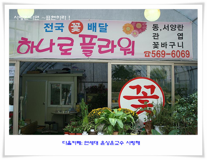 하나로플라워 이미지