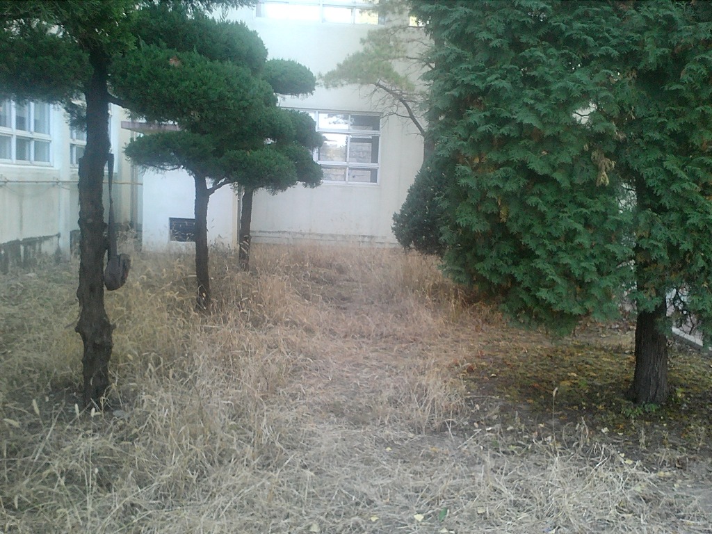 사직중학교 이미지