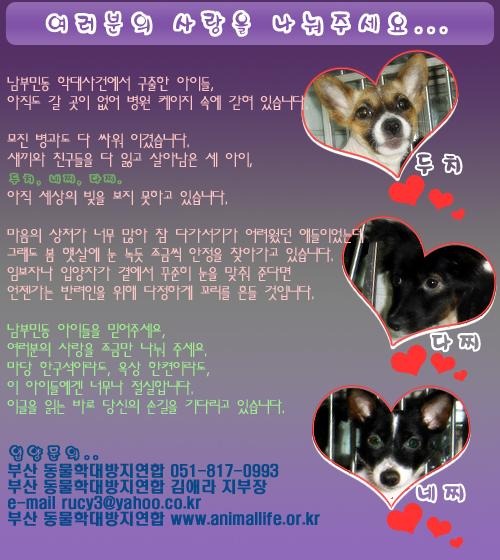 괴정다찌 이미지