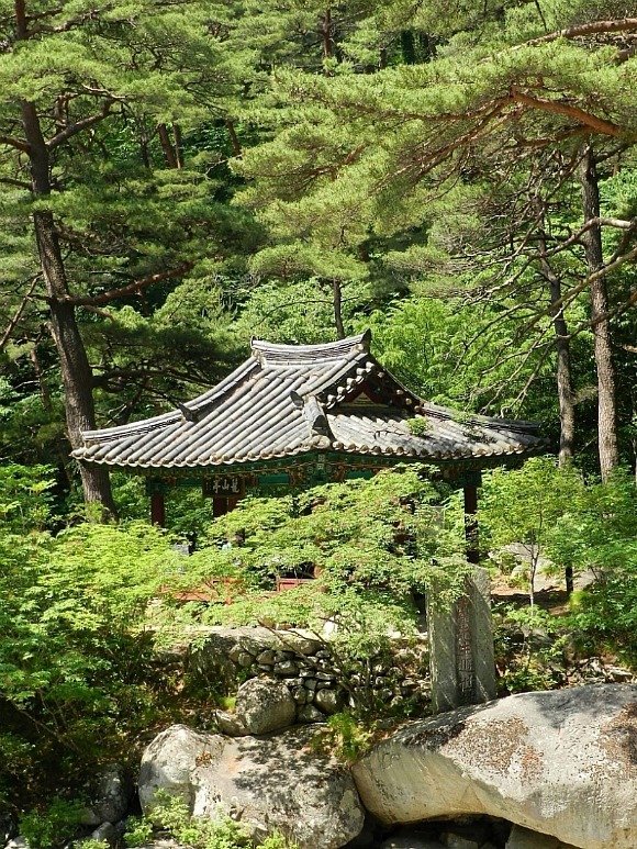 고운세상 이미지