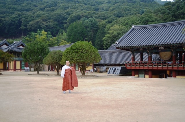 진취 이미지