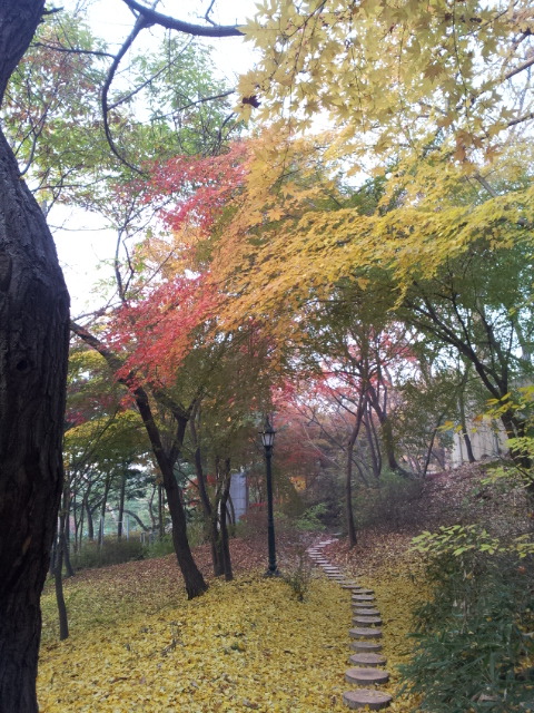 로앤키법무사 이미지