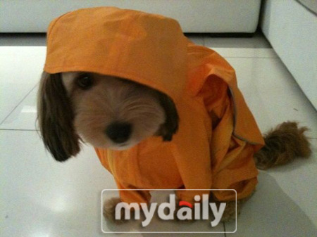 순심이 이미지