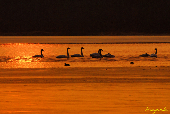 어린왕자의들꽃사랑마을
