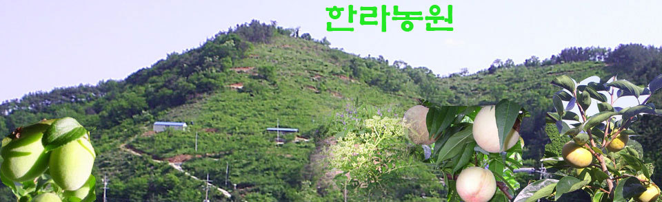 우리농장 이미지