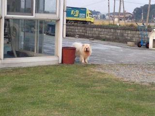 아리하우스 이미지