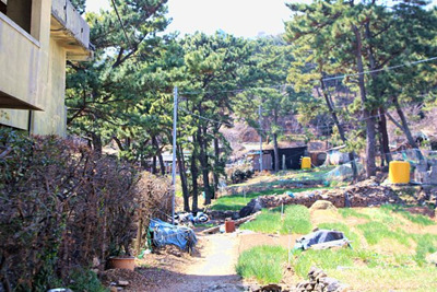 삼포가는길 이미지