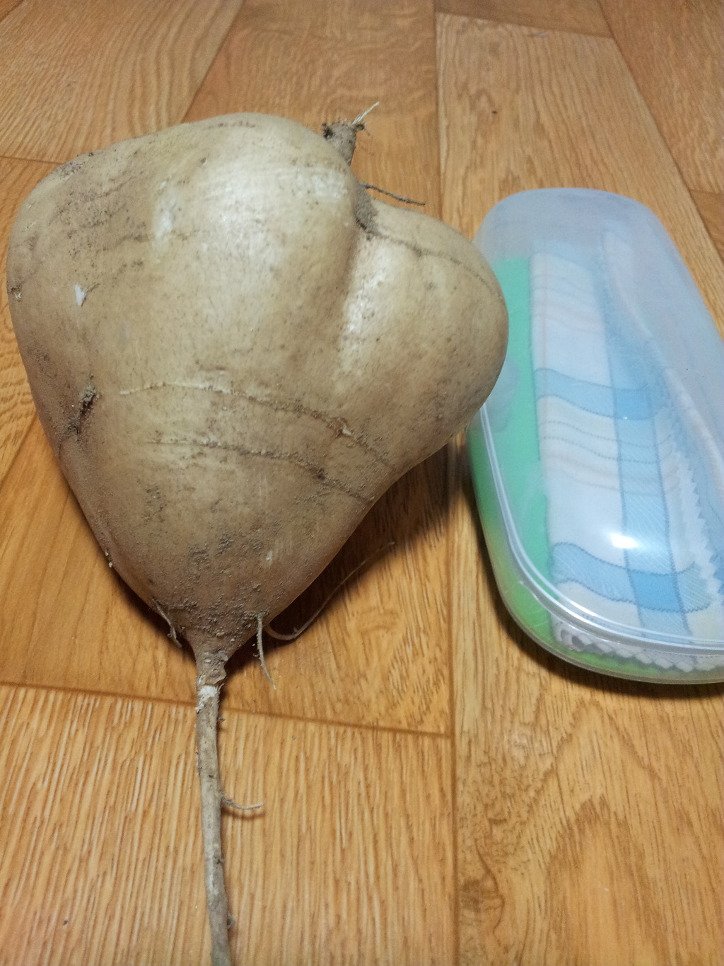 하우스캐어 이미지
