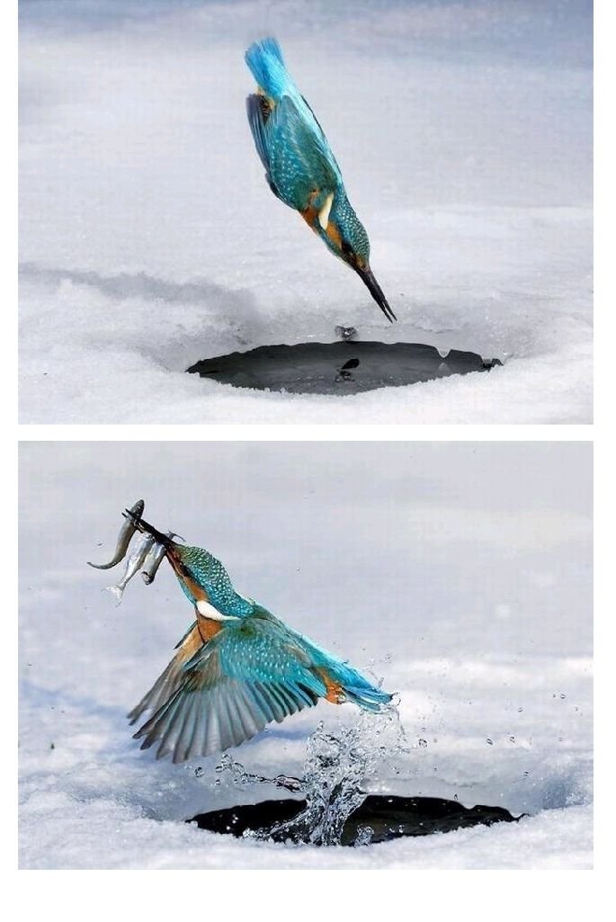 일석 이미지