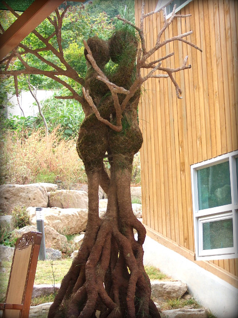 와인하우스 이미지