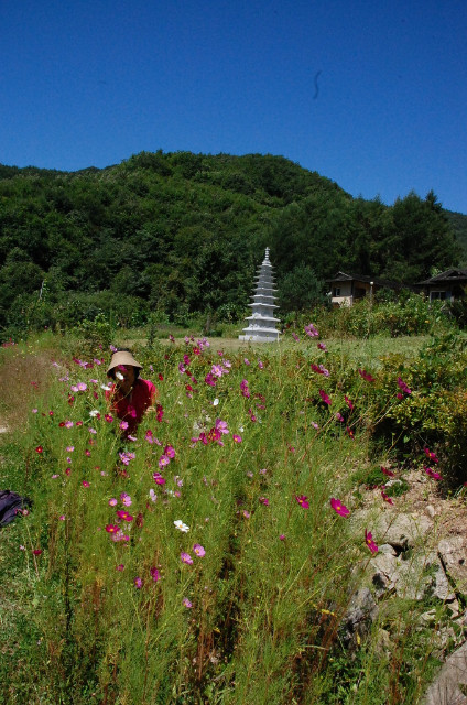 명지사 이미지
