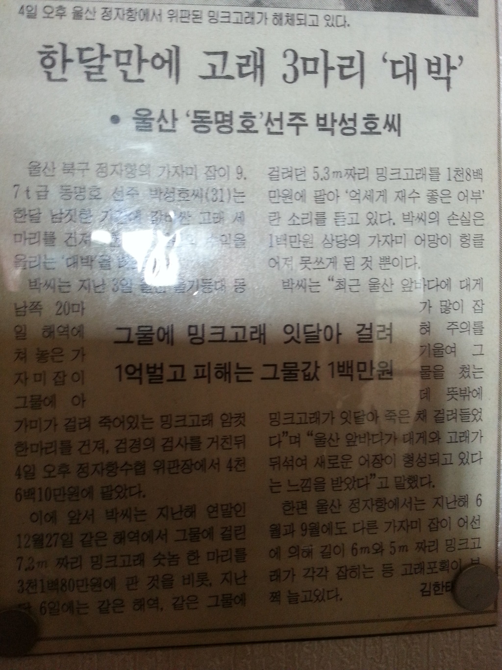 동명호 이미지