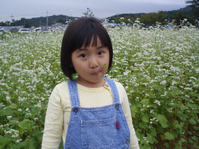 해승 이미지