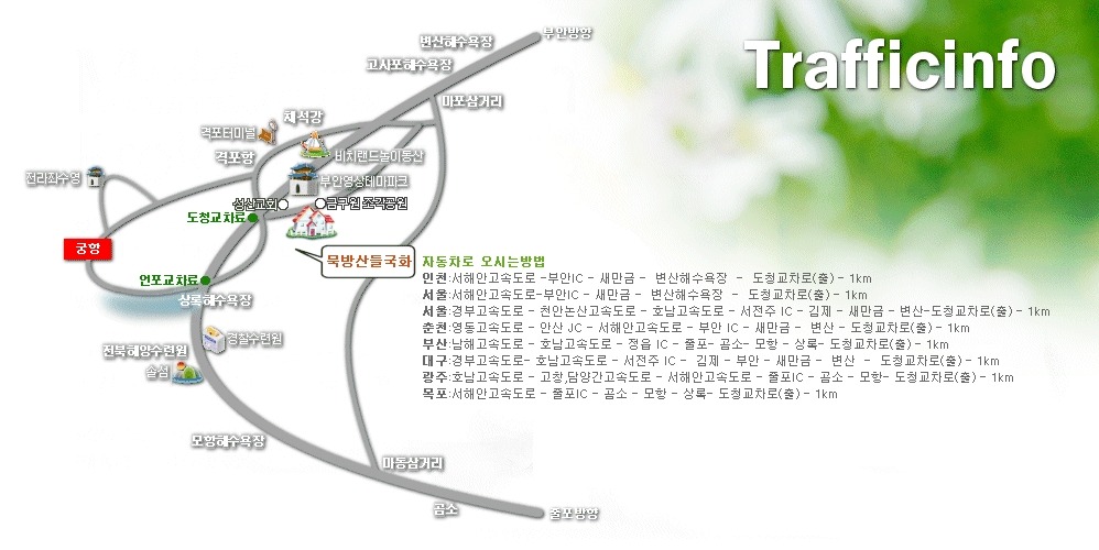 묵방산들국화 이미지