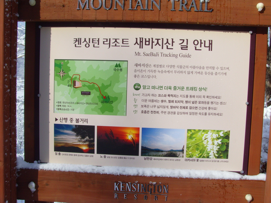 오데이지 이미지