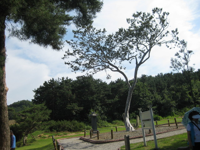 예산IC(대전) 이미지