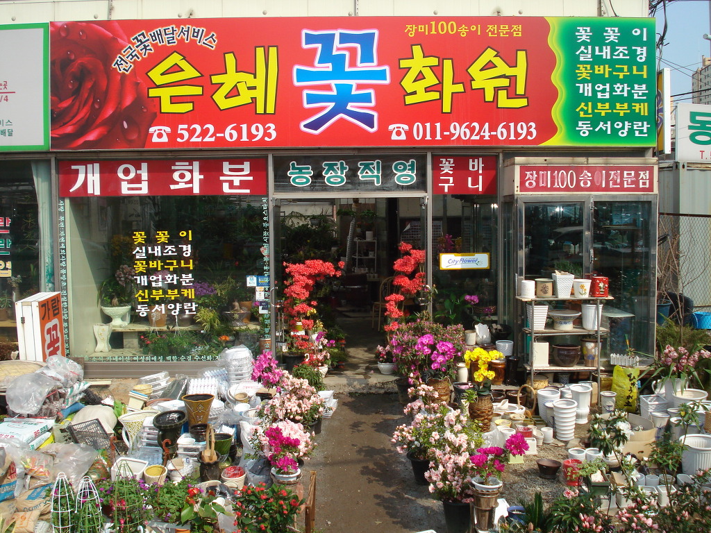 은혜화원 이미지
