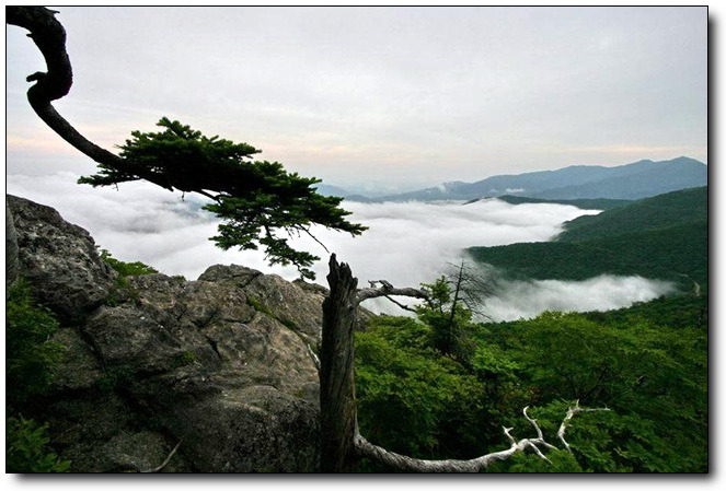 (주)무**수 이미지
