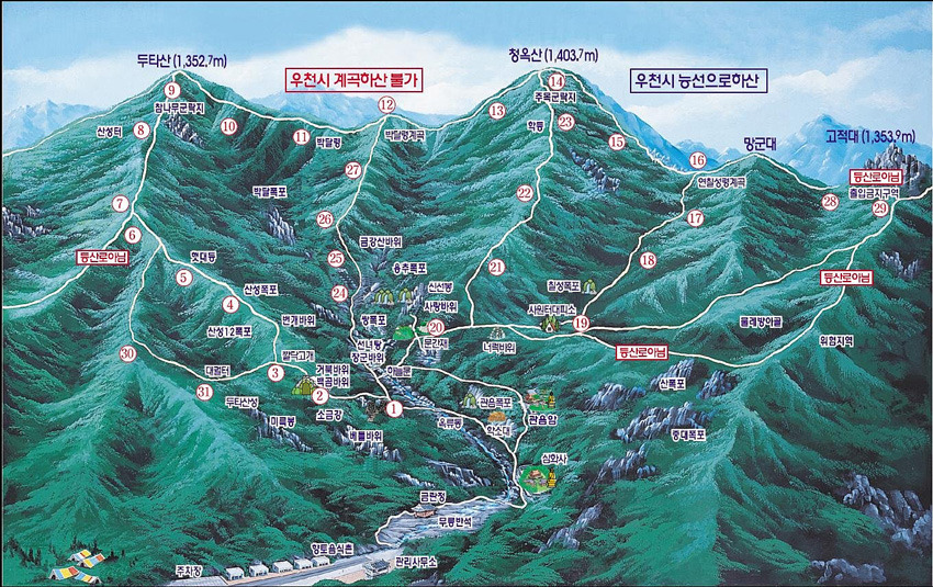 청옥주 이미지