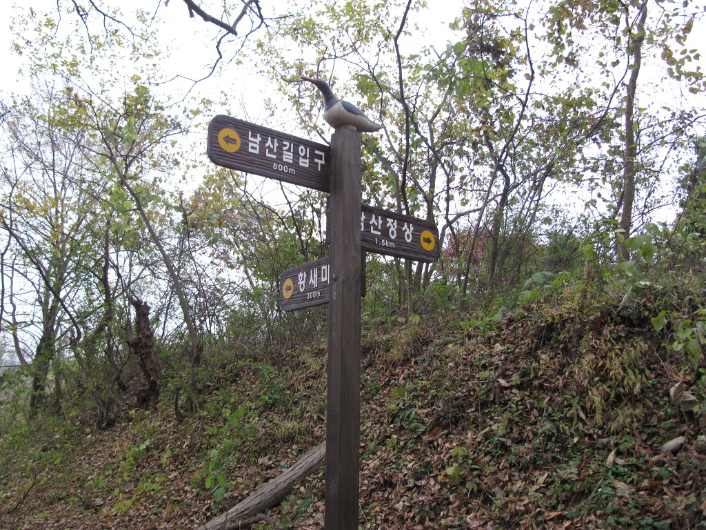 동죽황새마을 이미지