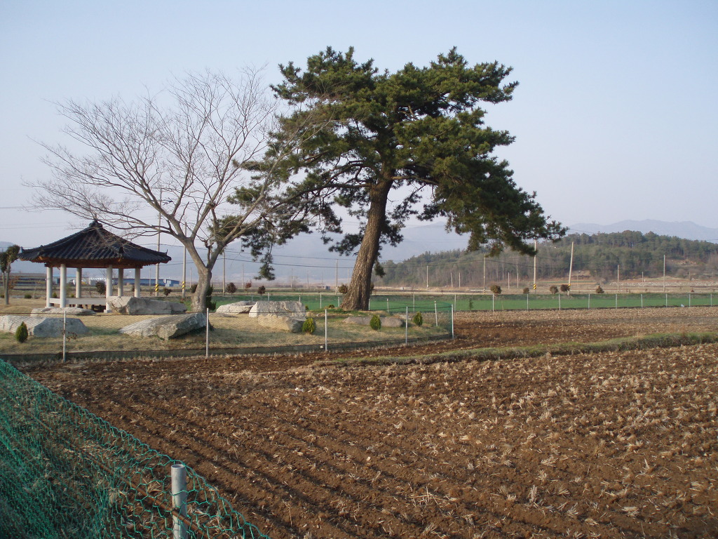정임 이미지
