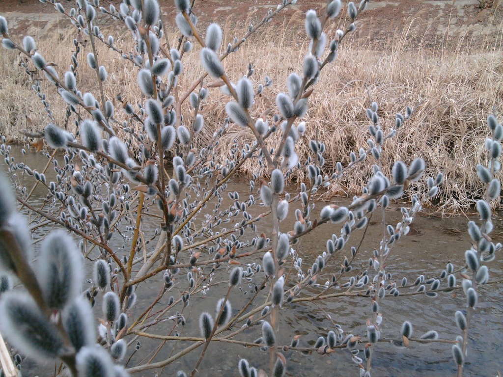 동창지점 이미지